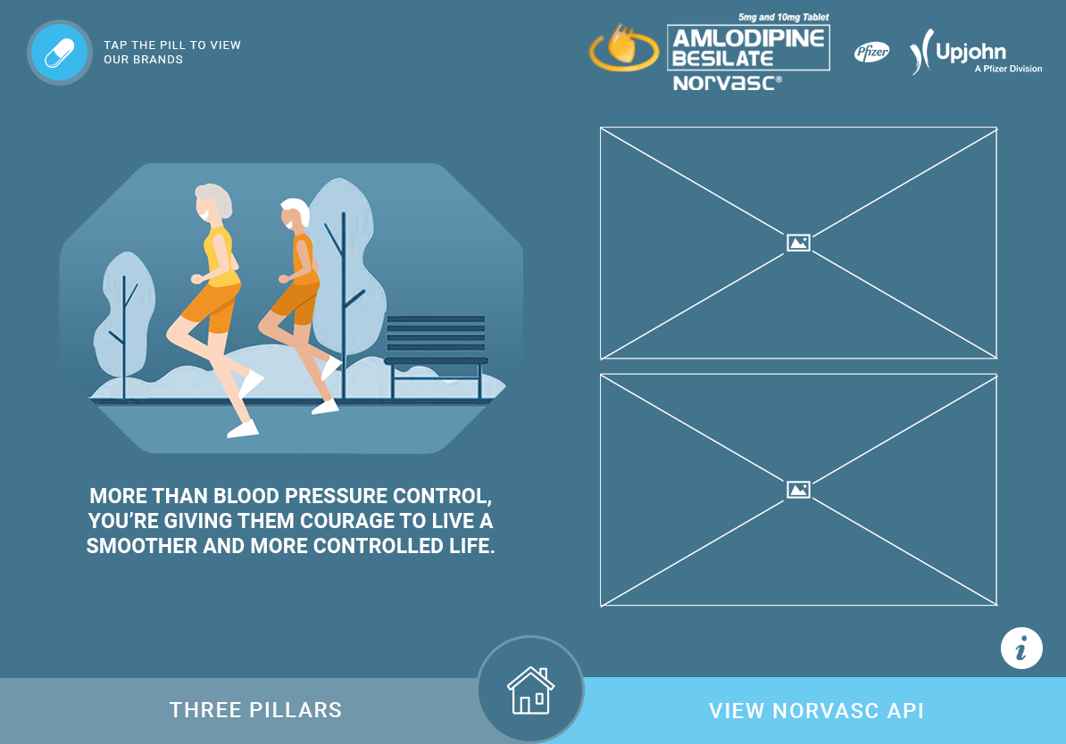 wireframes for pfizer edetailer design